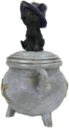 חתול שחור של כלי מתנה פסיפיק עם כובע מכשפות יושב על קופסת קדירה, תכשיטי פולירזין או מחזיק מטבעות, 3.93 אינץ 'על 3.14 אינץ' על 5.5 אינץ