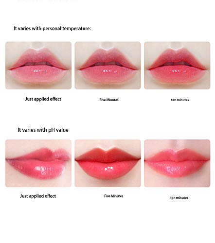 שפתון לאורך זמן 24 שנמשך צבע כדי תמצית לא שבעה שפתון לדעוך לחות צמח קל ושפתון שפתון בסיס